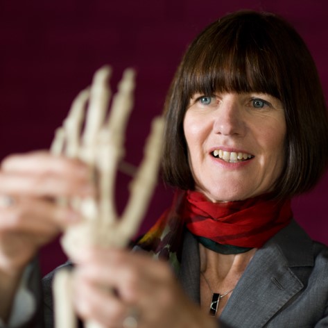 Dr Rosemary Prosser B.App.Sc. (Physiotherapy), M.Sc. (Physiotherapy), PhD, Certified Hand Therapist